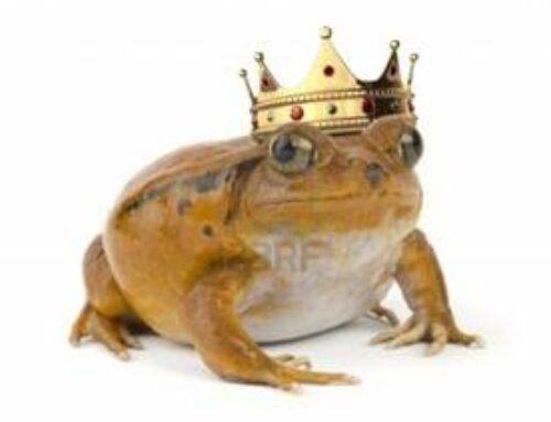 Workshop-Nieuwe Magie