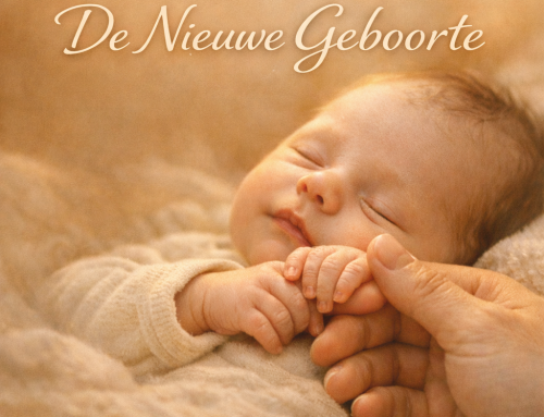 Mini congres-De Nieuwe Geboorte-